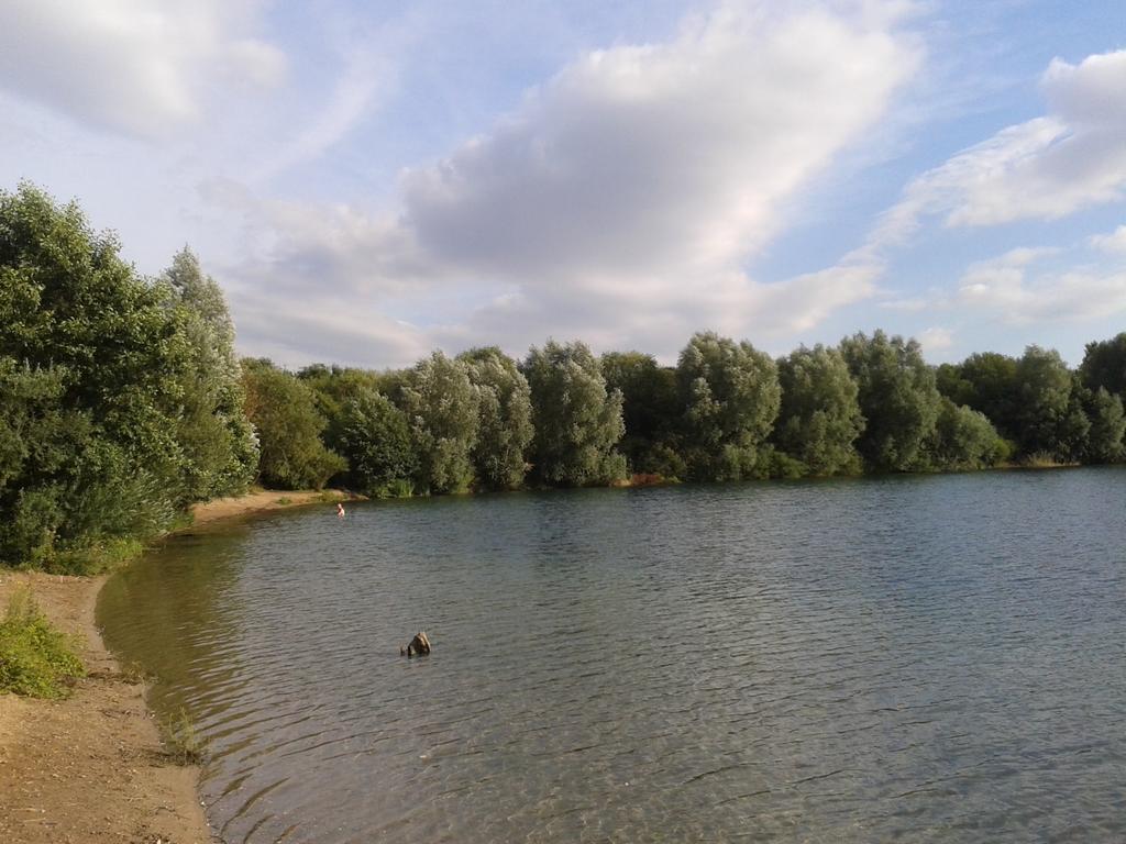 B&B Am See Koeln - Privatzimmer Værelse billede