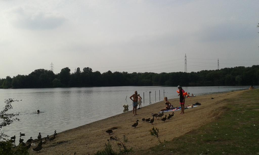 B&B Am See Koeln - Privatzimmer Eksteriør billede